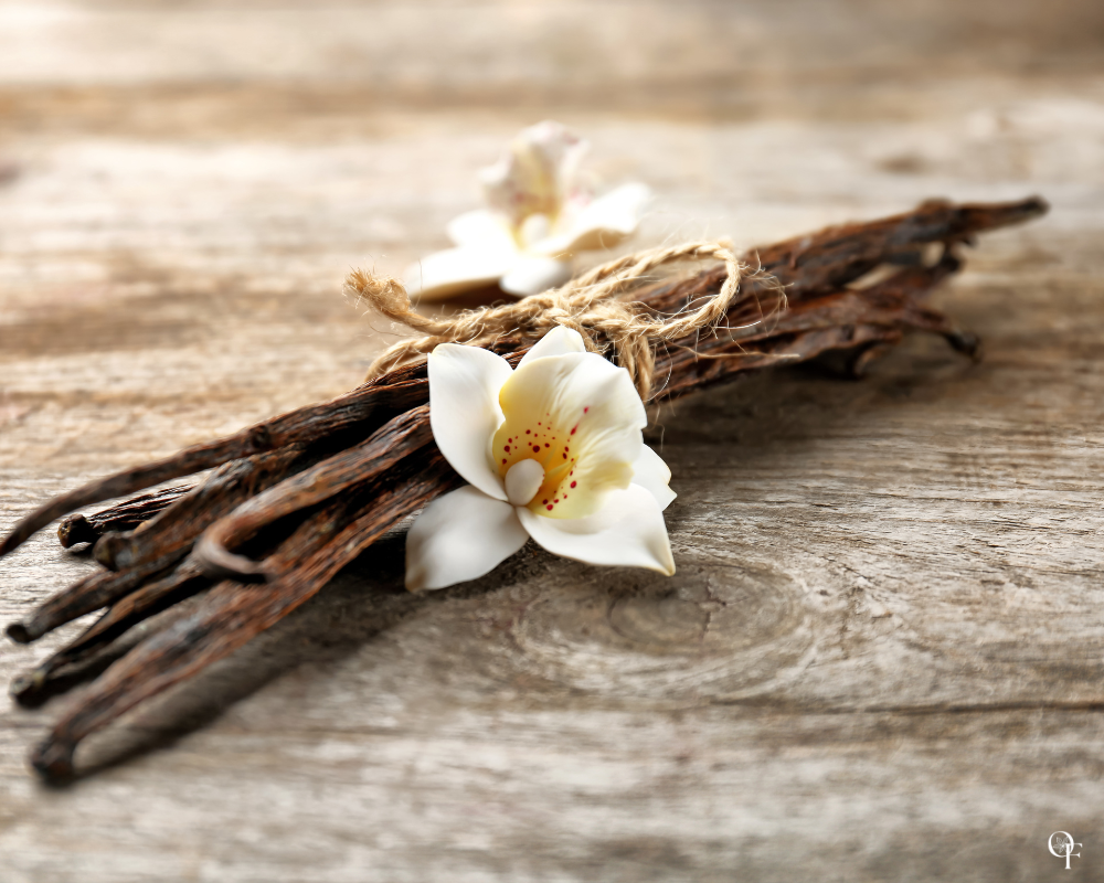 Timeless Vanilla - Fragrance Oil
