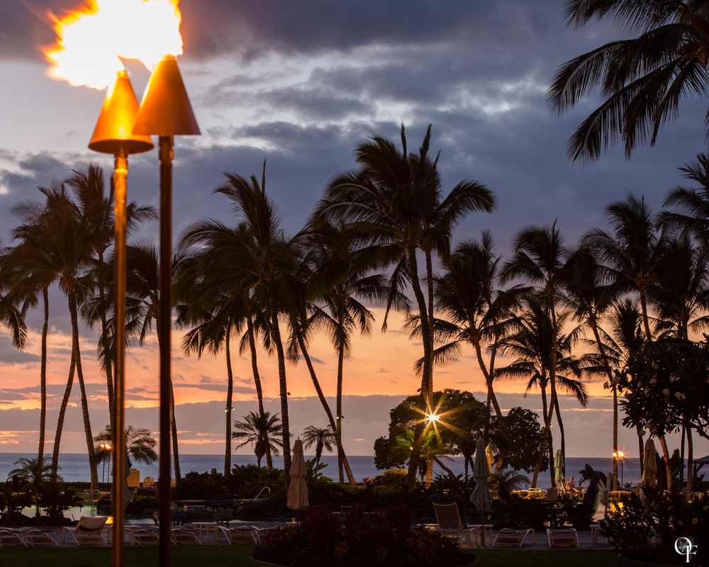 Tiki Beach (type) - Fragrance Oil