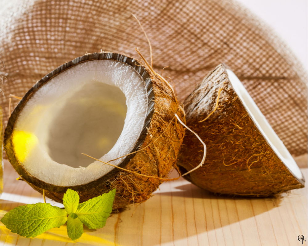 Fresh Coconut + Eucalyptus - Fragrance Oil