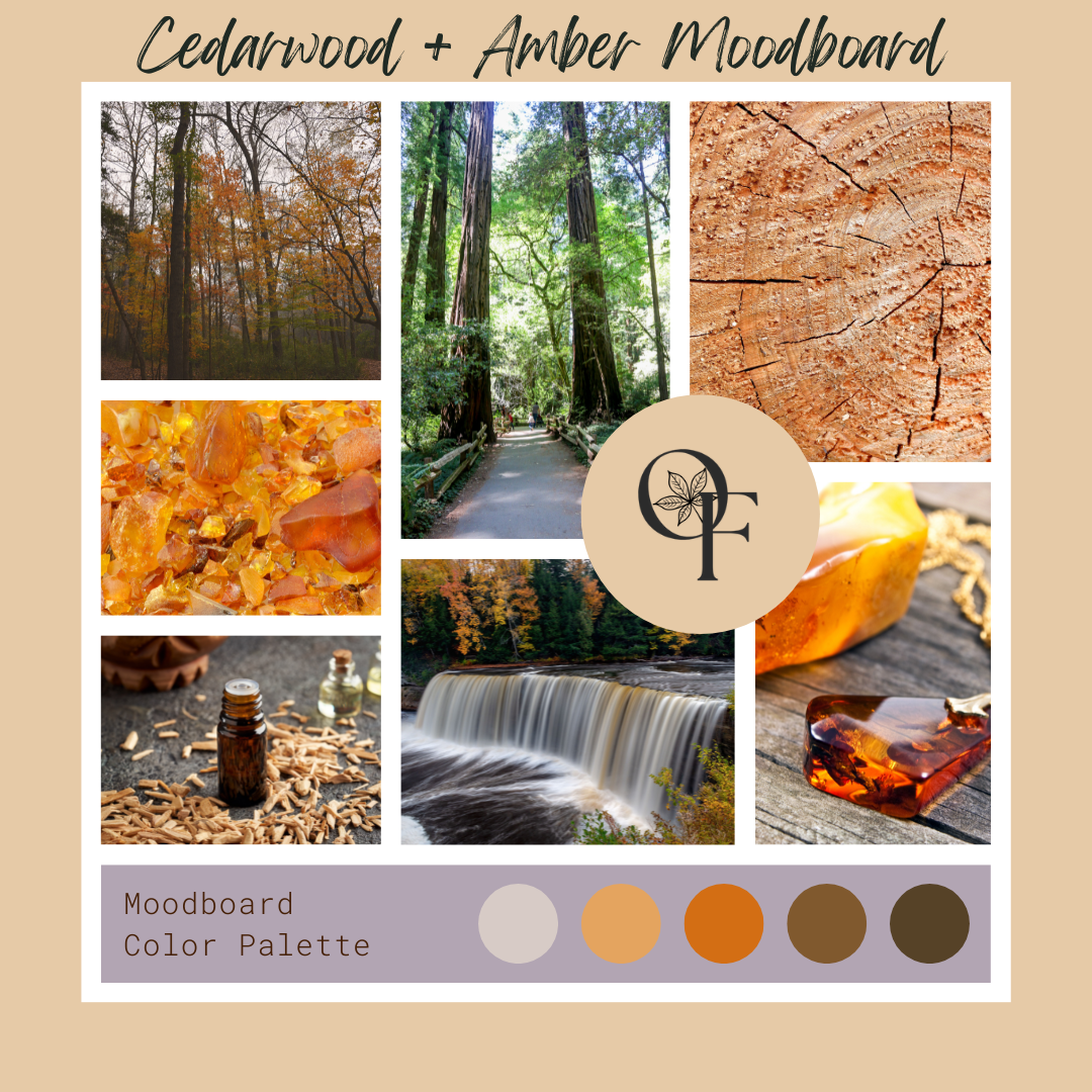 Cedarwood + Amber - Branding + Blend Ideas