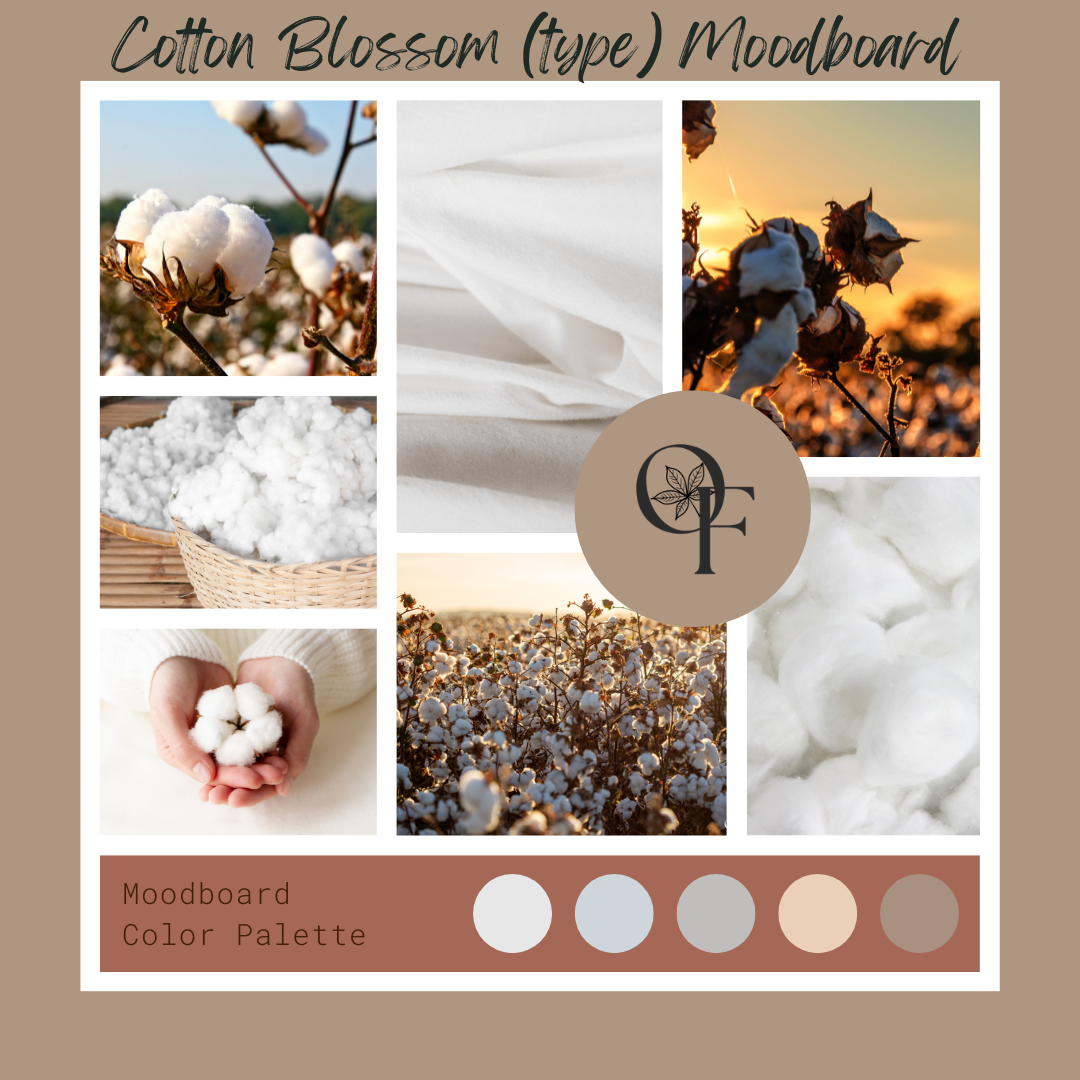 Cotton Blossom (type) - Branding + Blend Ideas