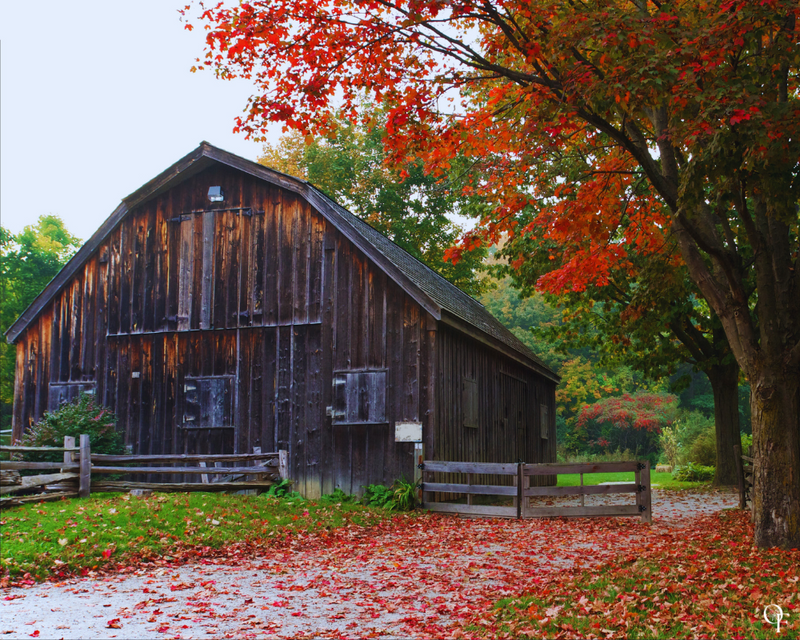 Barnwood - Fragrance Oil | Ohio Fragrance Co.